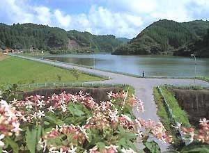 スポットの写真