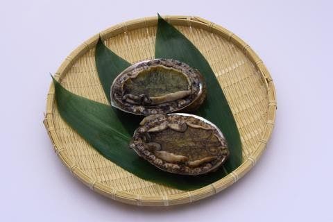 スポットの写真