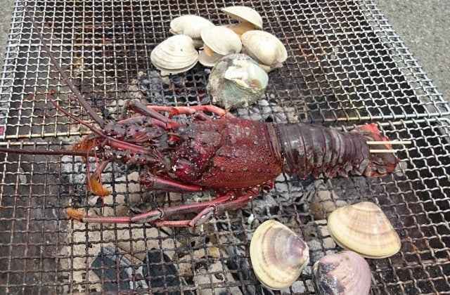 スポットの写真