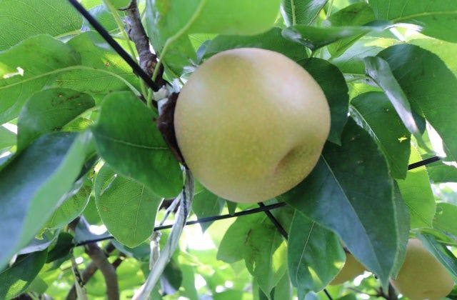 スポットの写真