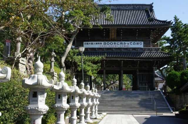 スポットの写真