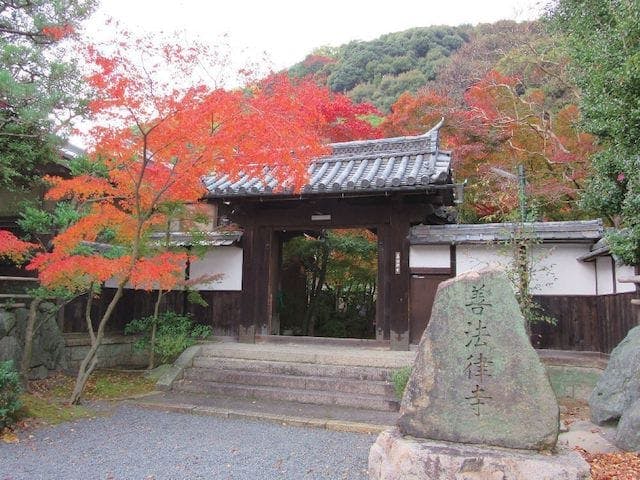 【2022年】善法律寺（紅葉寺）の紅葉