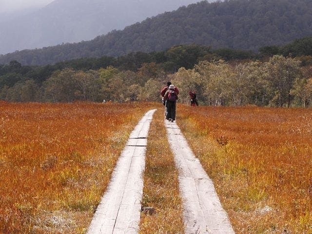 【2022年】尾瀬（尾瀬ヶ原）の紅葉