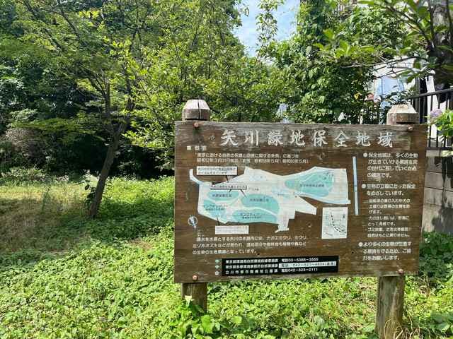 スポットの写真