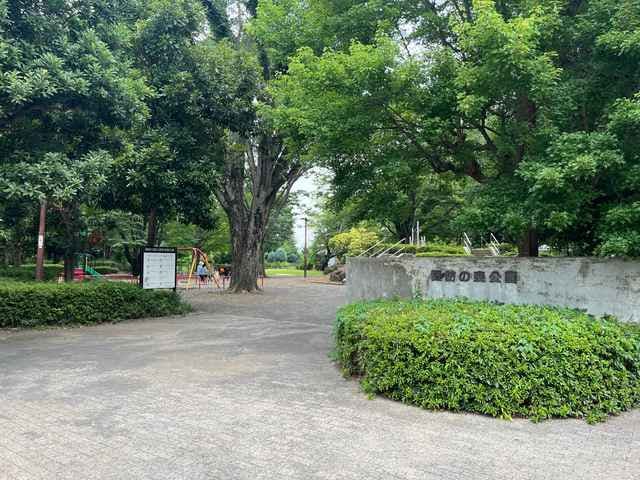 スポットの写真