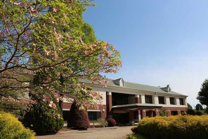 スポットの写真