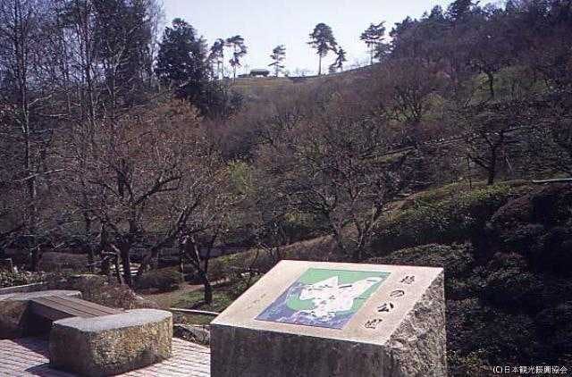 スポットの写真