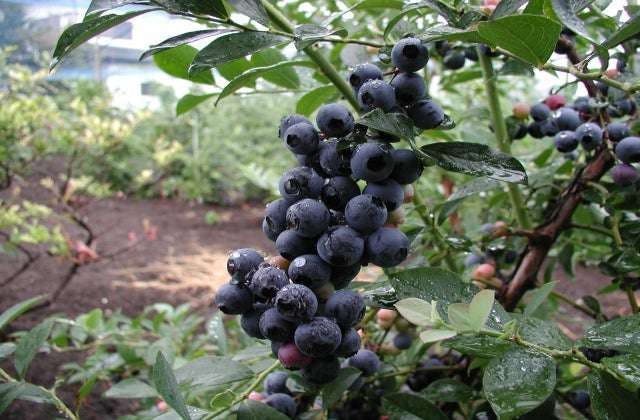 スポットの写真