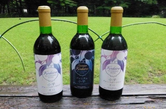 スポットの写真