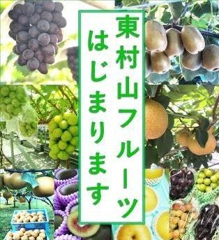 スポットの写真