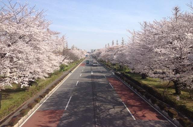 スポットの写真