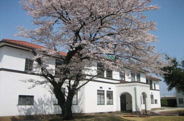 スポットの写真