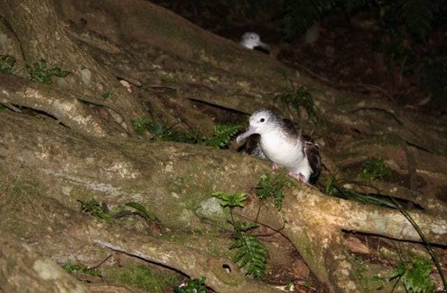 スポットの写真