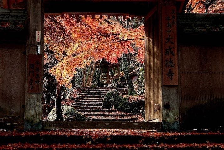 【2022年】牛滝山の紅葉