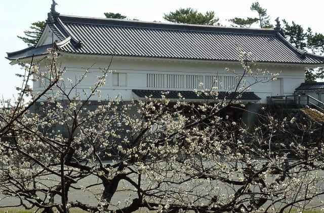 スポットの写真