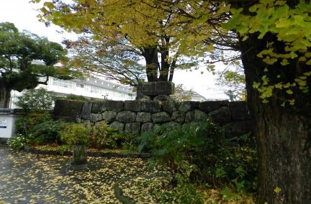 スポットの写真