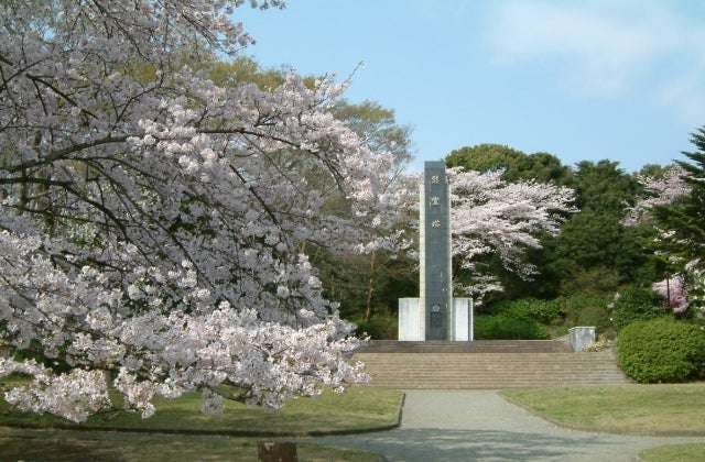 スポットの写真