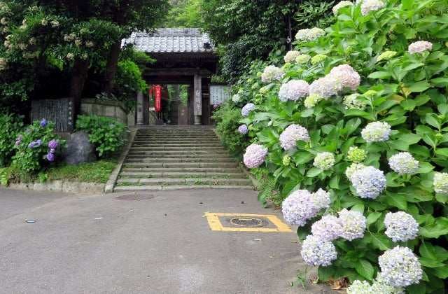 スポットの写真