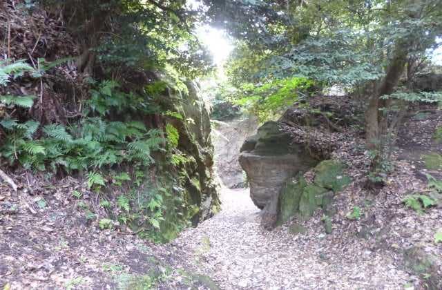 スポットの写真