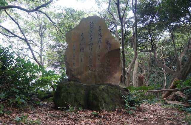 スポットの写真