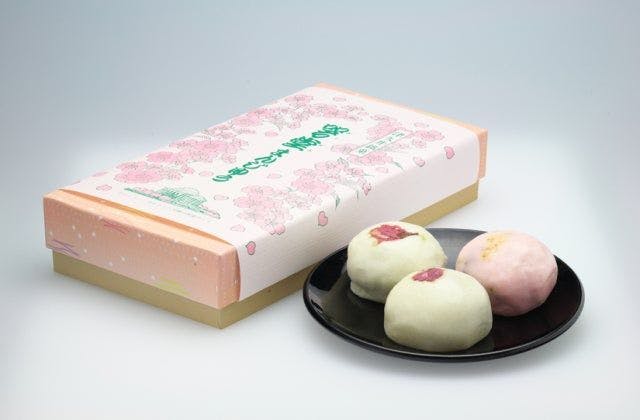 スポットの写真