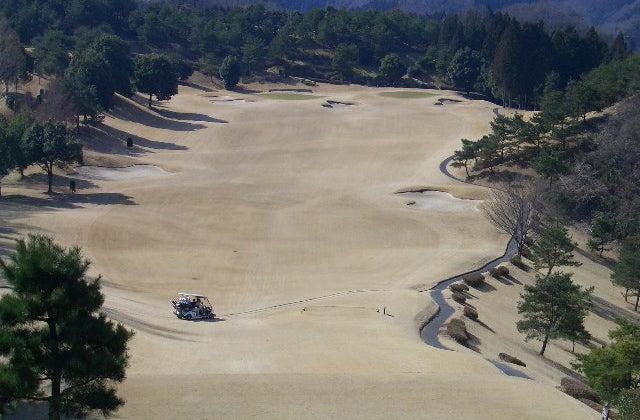 スポットの写真