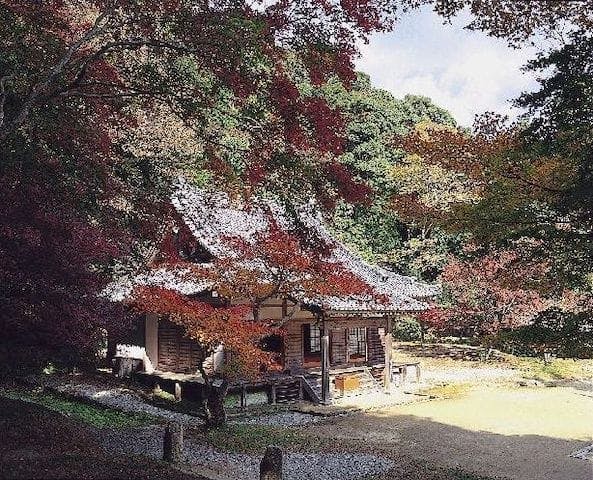 【2022年】正暦寺の紅葉