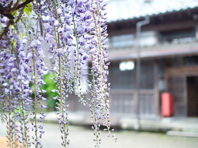 北方文化博物館