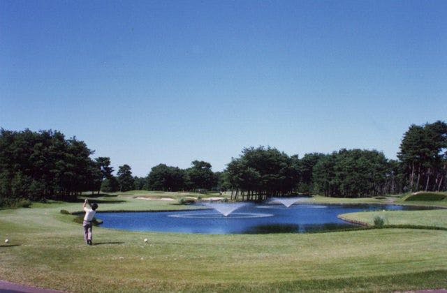 スポットの写真