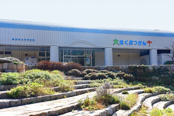 観音崎自然博物館