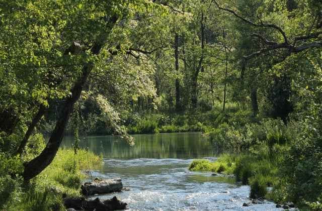 スポットの写真