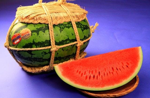 スポットの写真