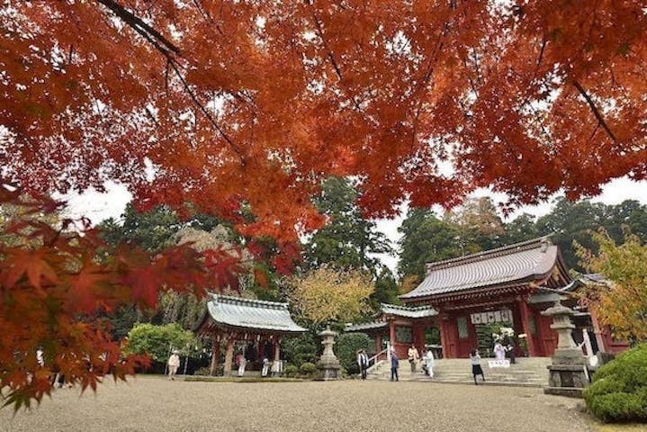 【2022年】志波彦神社・鹽竈神社の紅葉