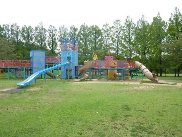 スポットの写真