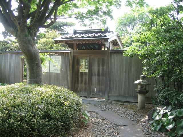 スポットの写真