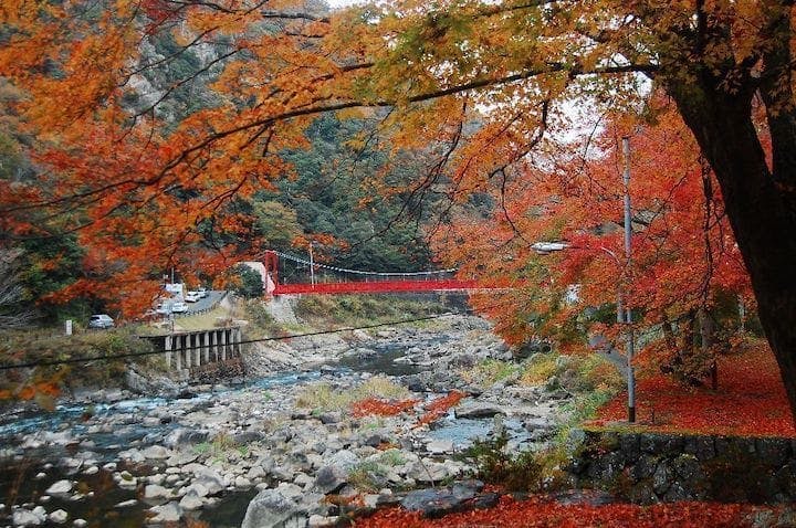 【2022年】武田尾の紅葉
