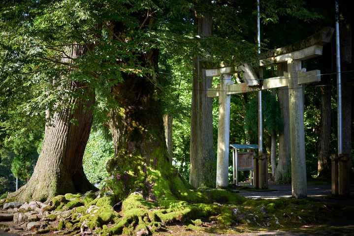 スポットの写真