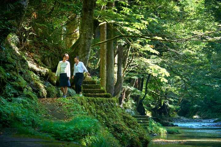 スポットの写真