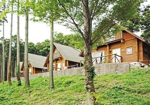 スポットの写真