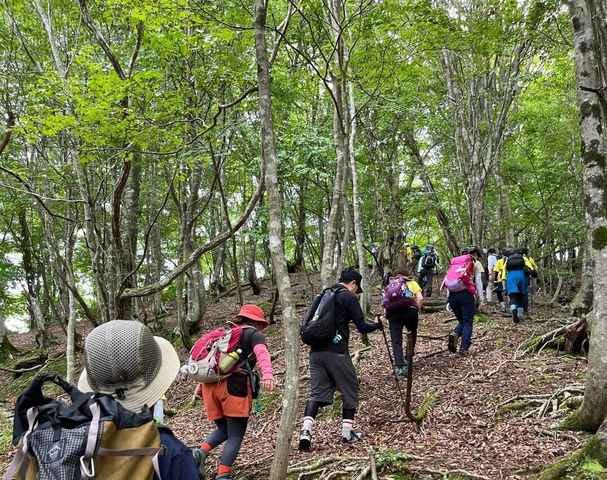 スポットの写真