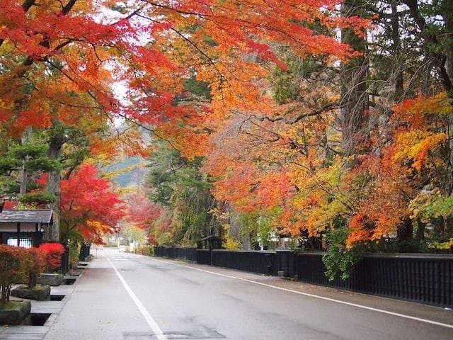 【2022年】角館の紅葉