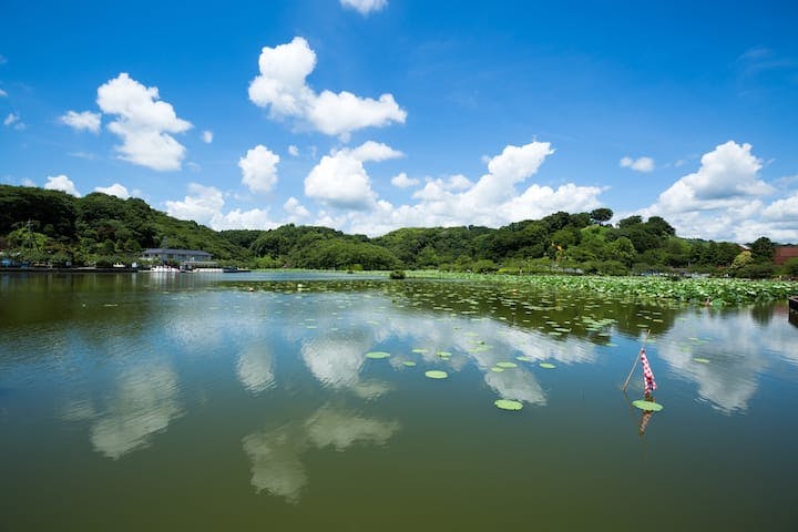 蓮華寺池公園
