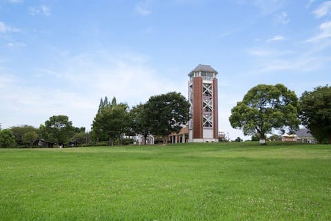 スポットの写真