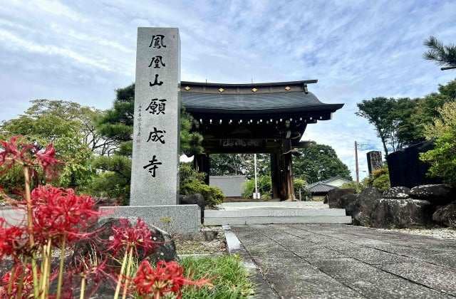 スポットの写真