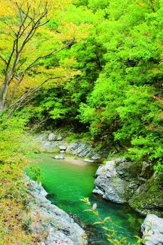 芦川渓谷