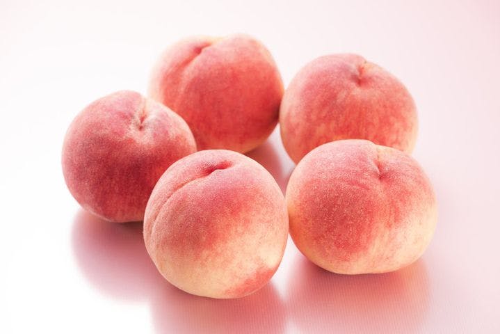 スポットの写真