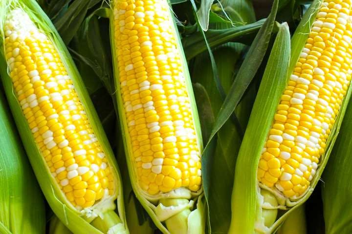 スポットの写真