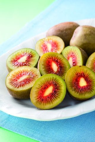 スポットの写真