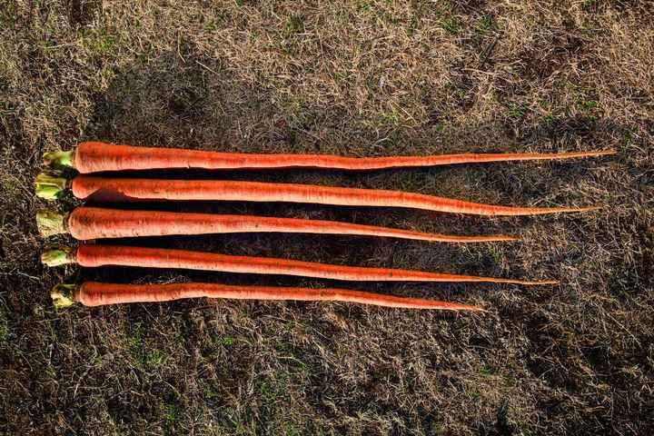 スポットの写真