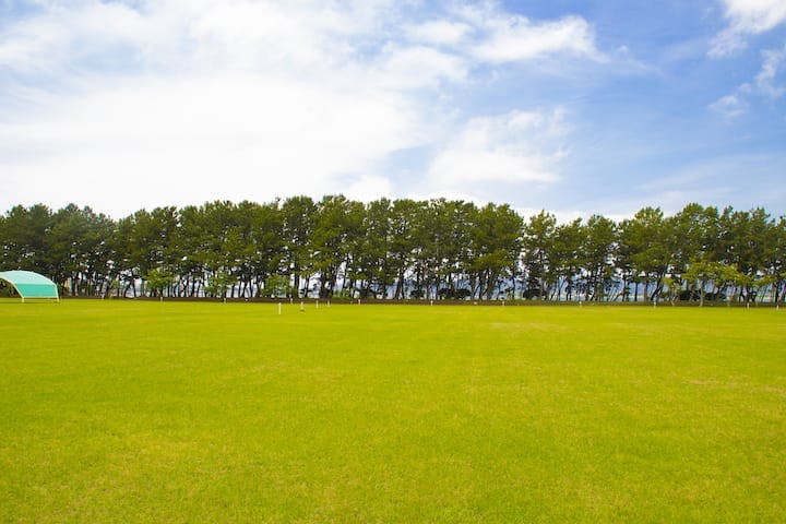 渚園キャンプ場